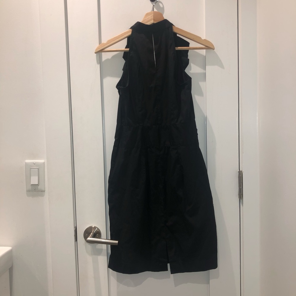 Express Dress - Picture 3 of 3